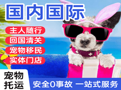 延吉航空物流国际宠物托运 【国